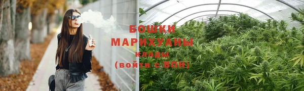 дурь Володарск