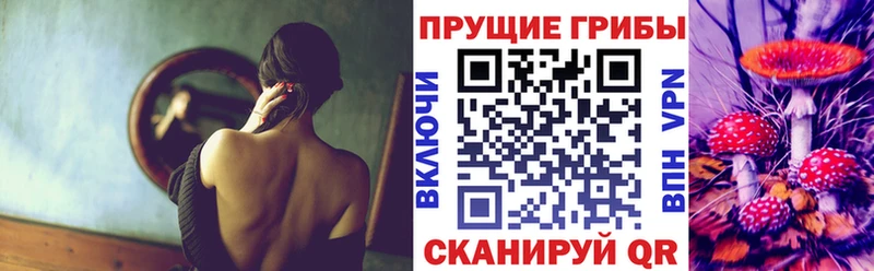 Галлюциногенные грибы мицелий  Купить закладки  Вышний Волочёк 